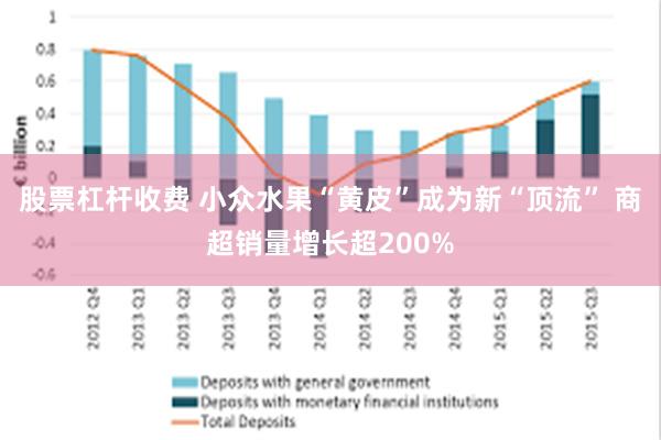 股票杠杆收费 小众水果“黄皮”成为新“顶流” 商超销量增长超200%