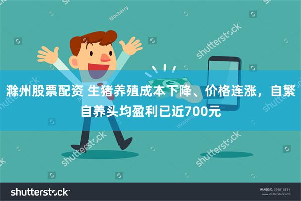 滁州股票配资 生猪养殖成本下降、价格连涨，自繁自养头均盈利已近700元
