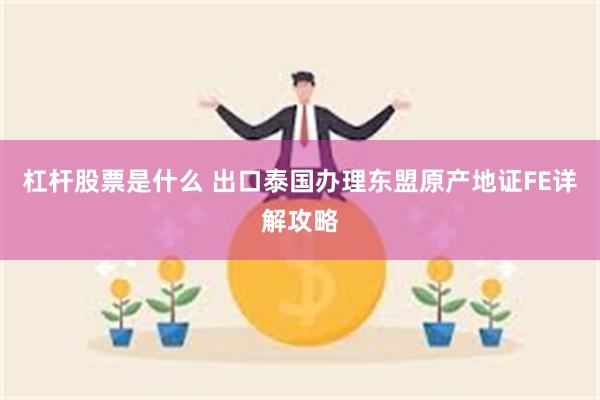 杠杆股票是什么 出口泰国办理东盟原产地证FE详解攻略
