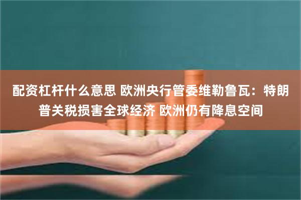 配资杠杆什么意思 欧洲央行管委维勒鲁瓦：特朗普关税损害全球经济 欧洲仍有降息空间