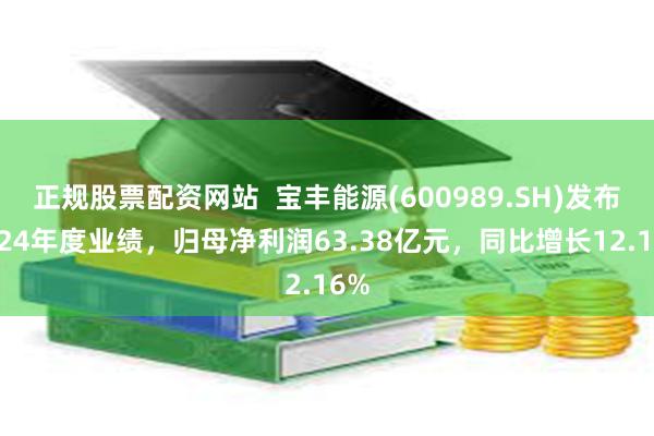 正规股票配资网站  宝丰能源(600989.SH)发布2024年度业绩，归母净利润63.38亿元，同比增长12.16%
