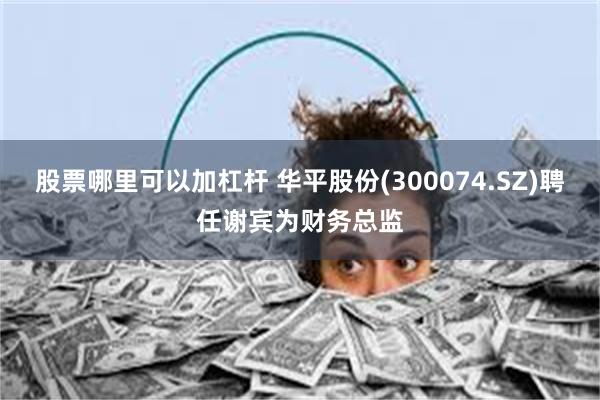 股票哪里可以加杠杆 华平股份(300074.SZ)聘任谢宾为财务总监