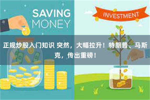 正规炒股入门知识 突然，大幅拉升！特朗普、马斯克，传出重磅！